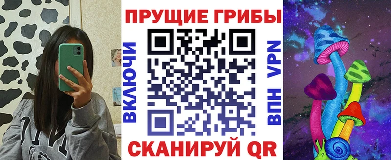 Псилоцибиновые грибы прущие грибы  кракен вход  Усть-Джегута 